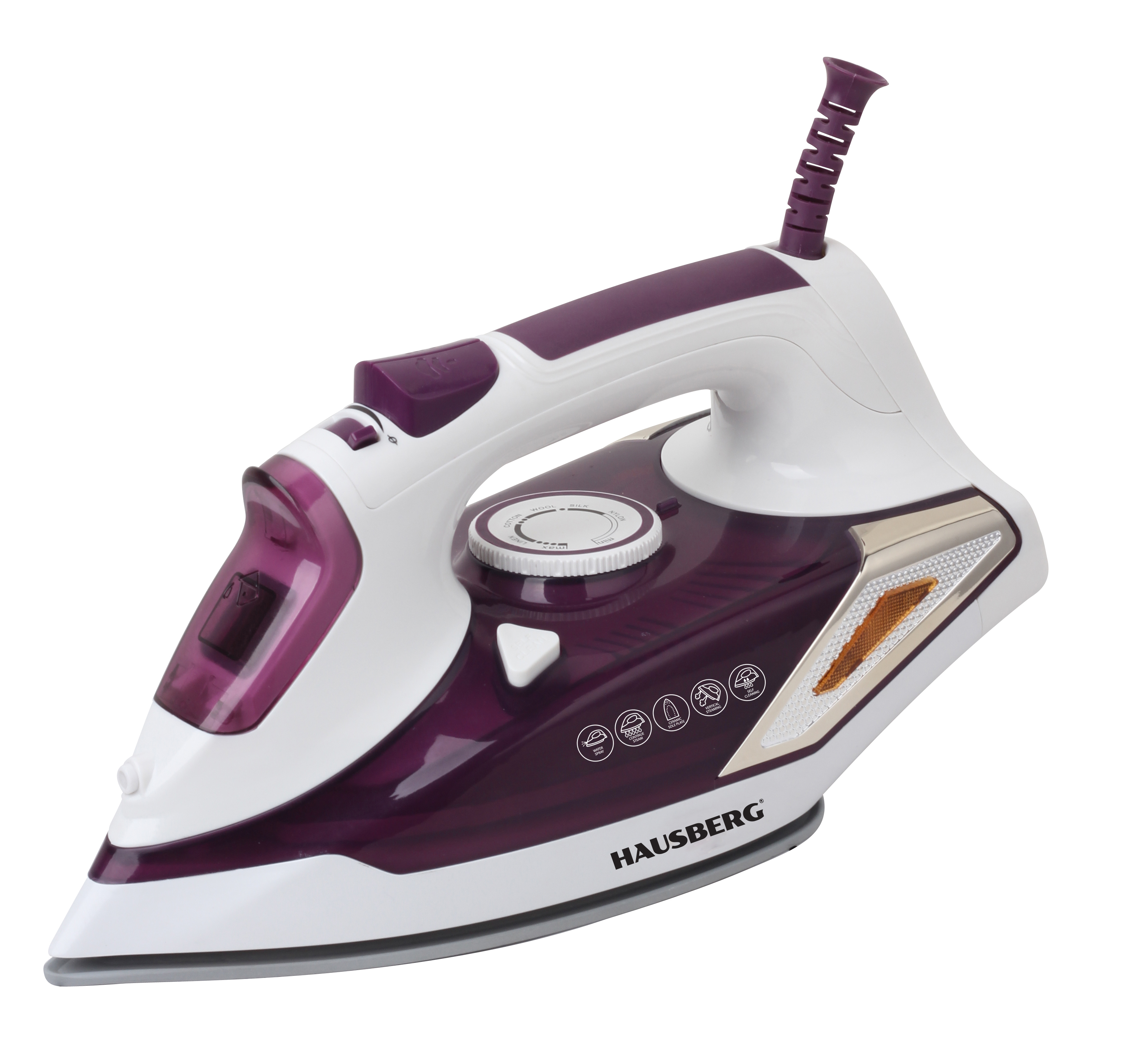 STEAM IRON
